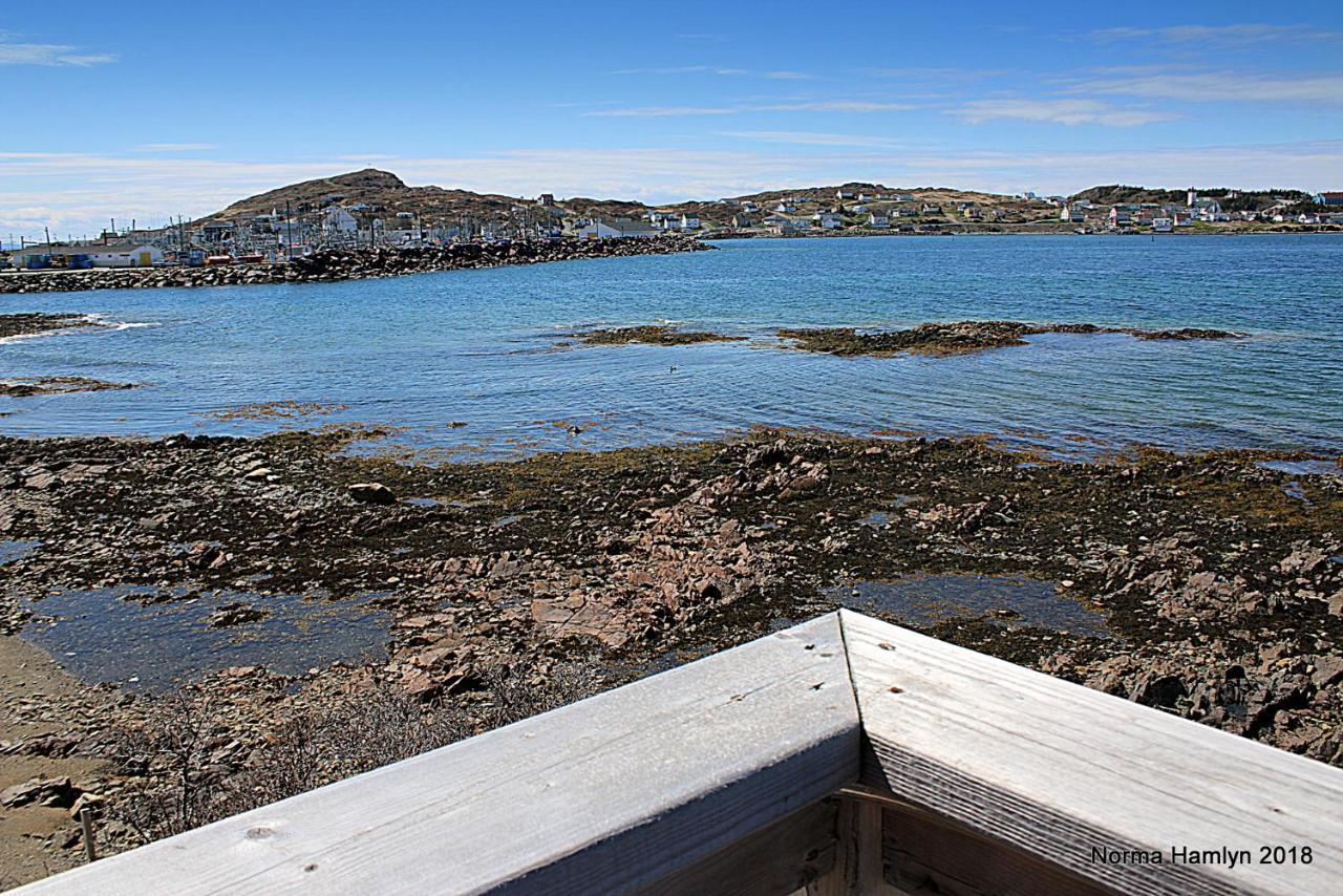 Toulinguet Inn - Suites Twillingate Εξωτερικό φωτογραφία